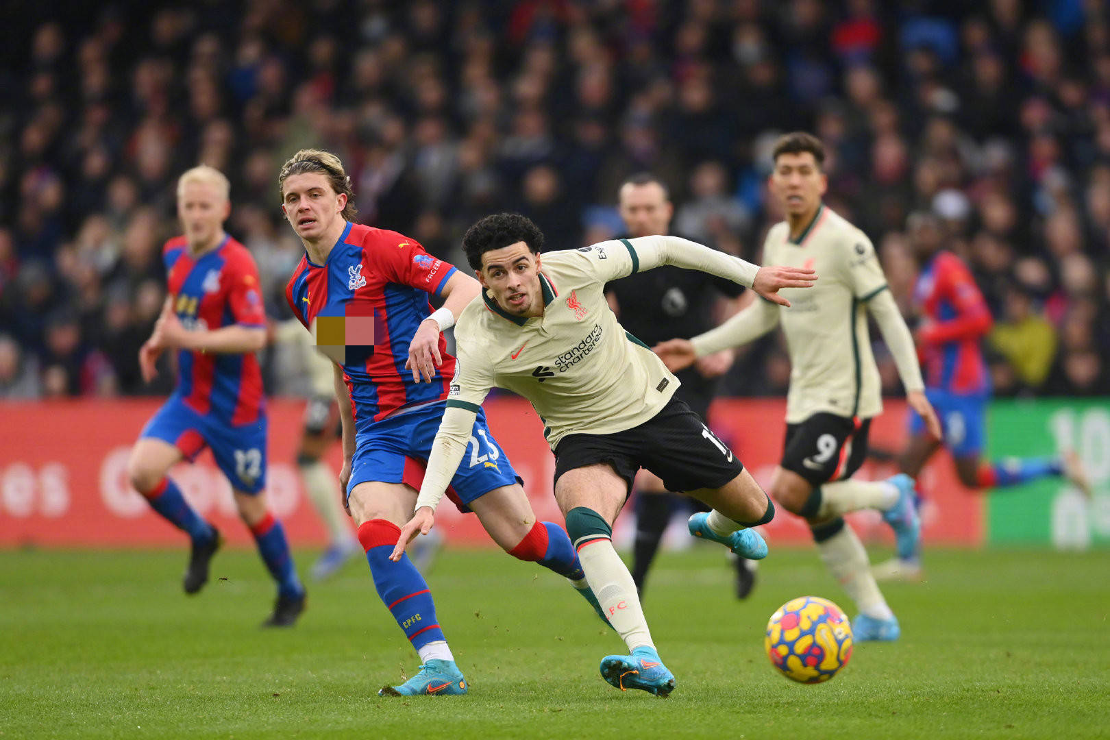 因为他们追 因为他们追